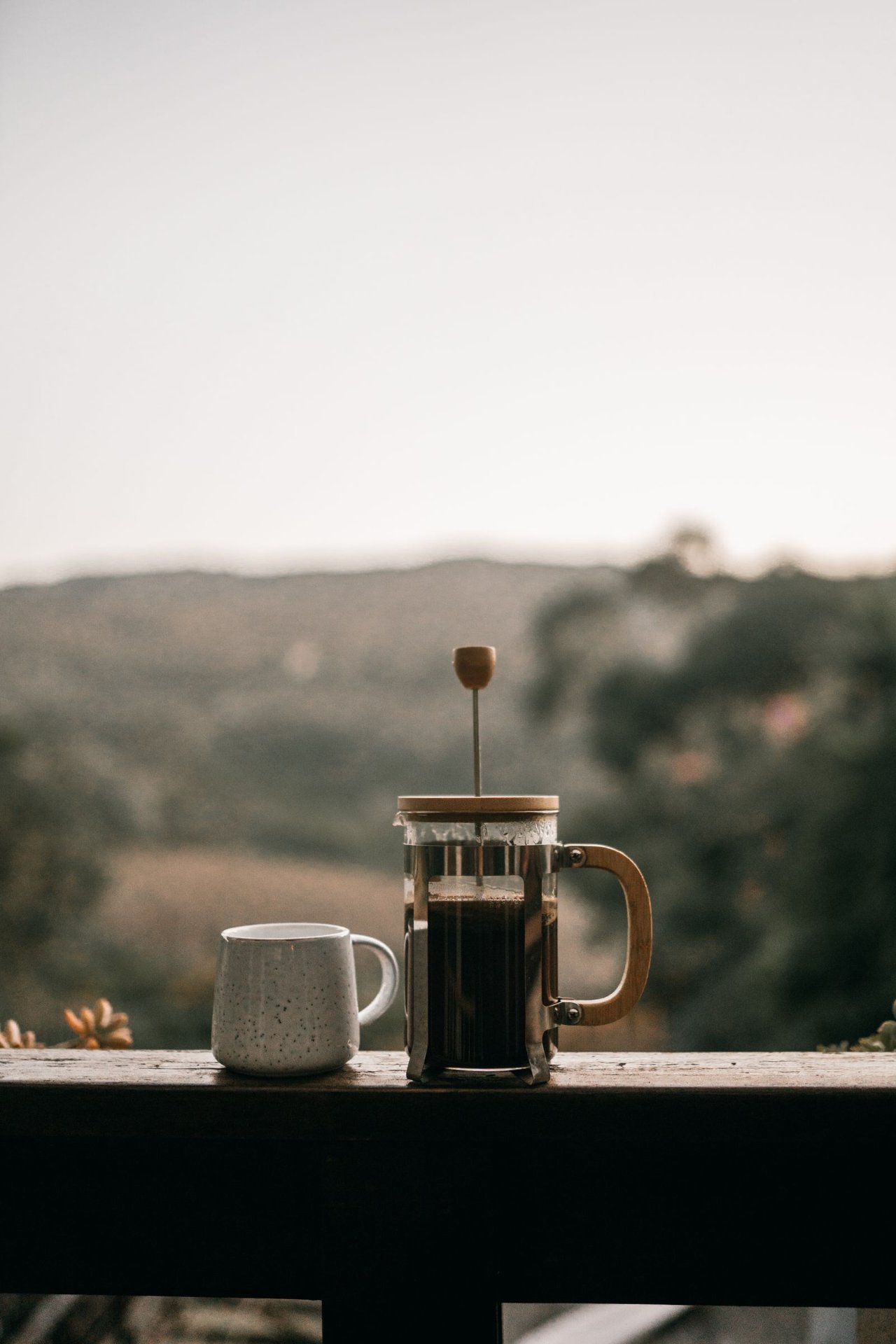 French press dùng lưới kim loại và ngâm ủ trực tiếp, nên phần dầu mang diterpen ở lại trong tách nhiều hơn hẳn cách pha qua giấy. Ảnh của Taryn Elliott trên Pexels, mã ảnh 8549520, giấy phép Free to use đã kiểm chứng trên trang ảnh
