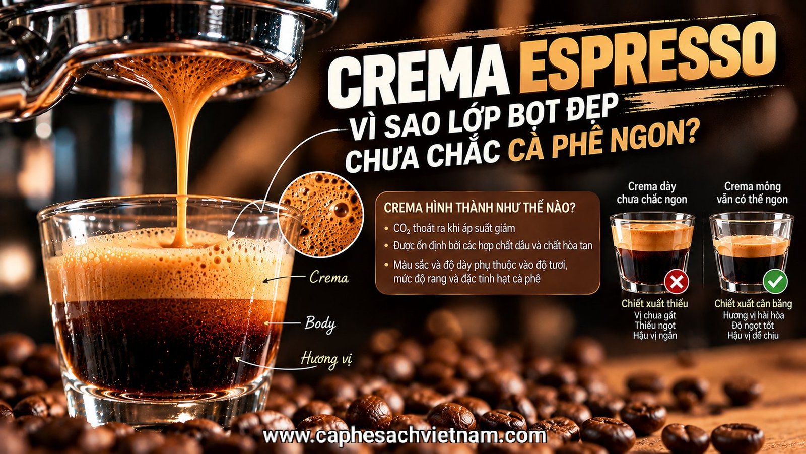 Crema Espresso: Vì sao lớp bọt đẹp chưa chắc cà phê ngon?