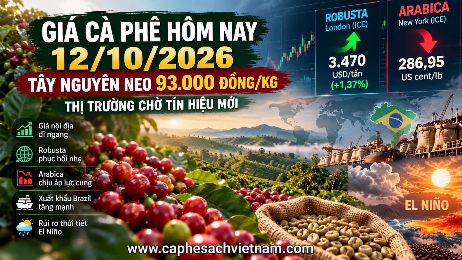 Phân tích thị trường cà phê 12/10/2026