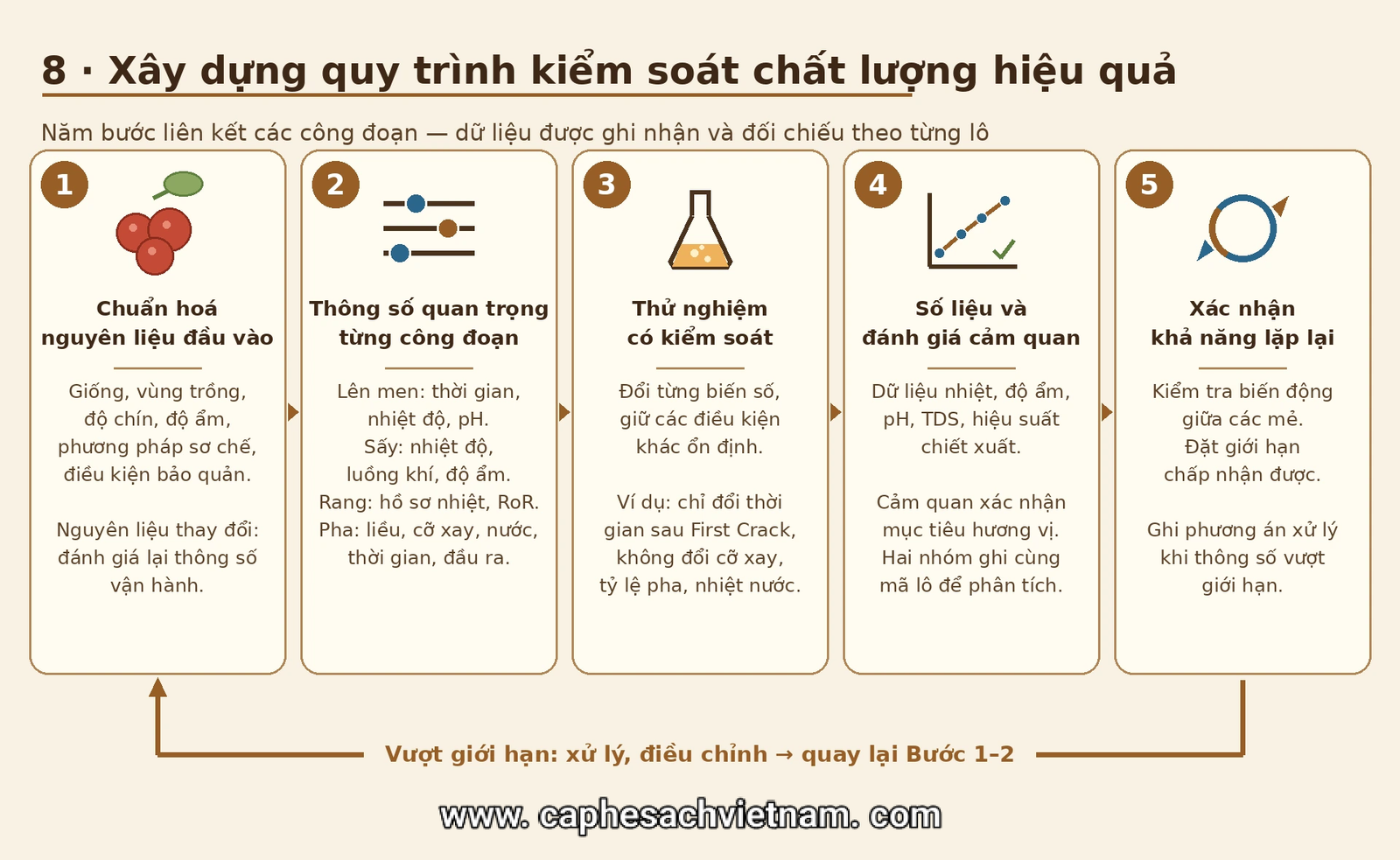 Quy trình kiểm soát chất lượng cà phê