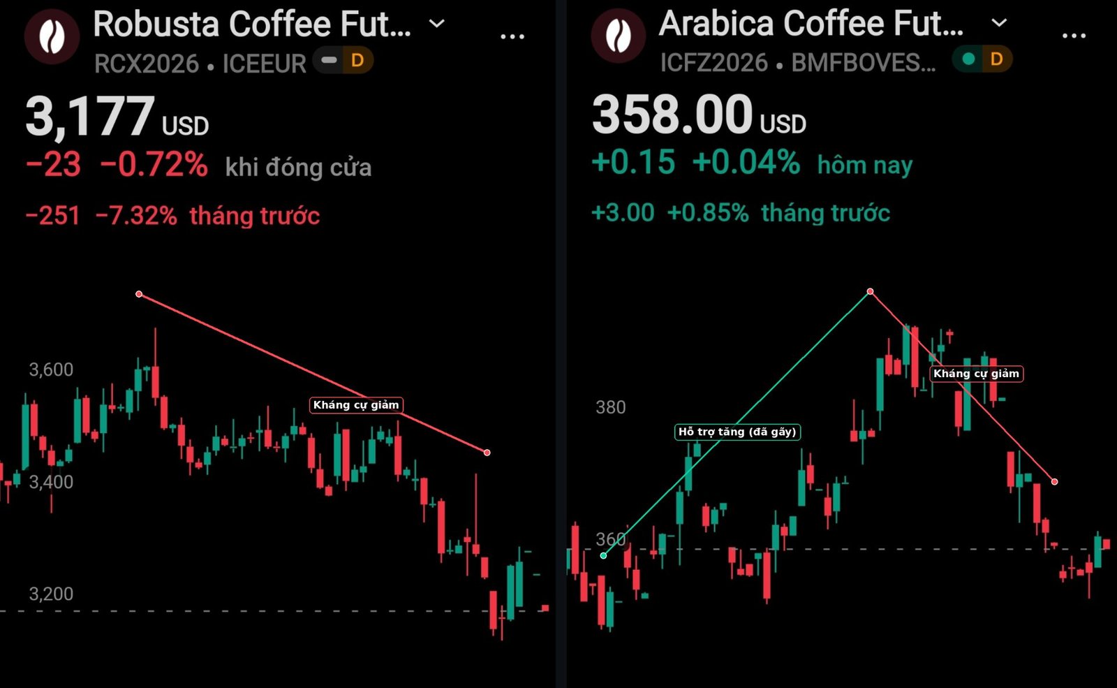 Phân tích diễn biến thị trường cà phê Robusta và Arabica ngày 30 tháng 10 năm 2026