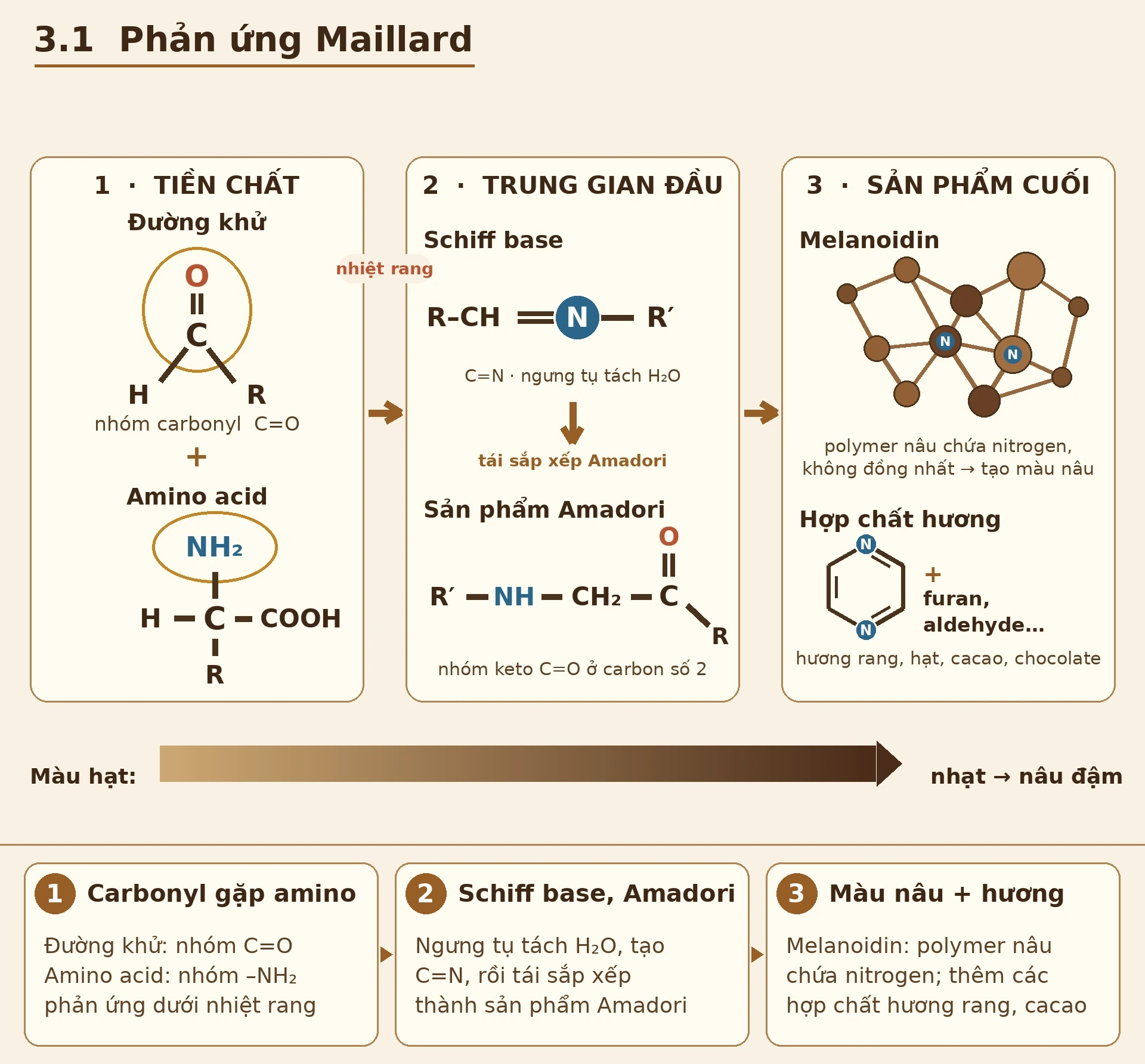 Ảnh: Aự phân hủy Strecker Amino acid (xanh) bị phân tách khi gặp carbonyl (vàng), tạo aldehyde bay hương lên mạch nha, ngũ cốc, mật ong.