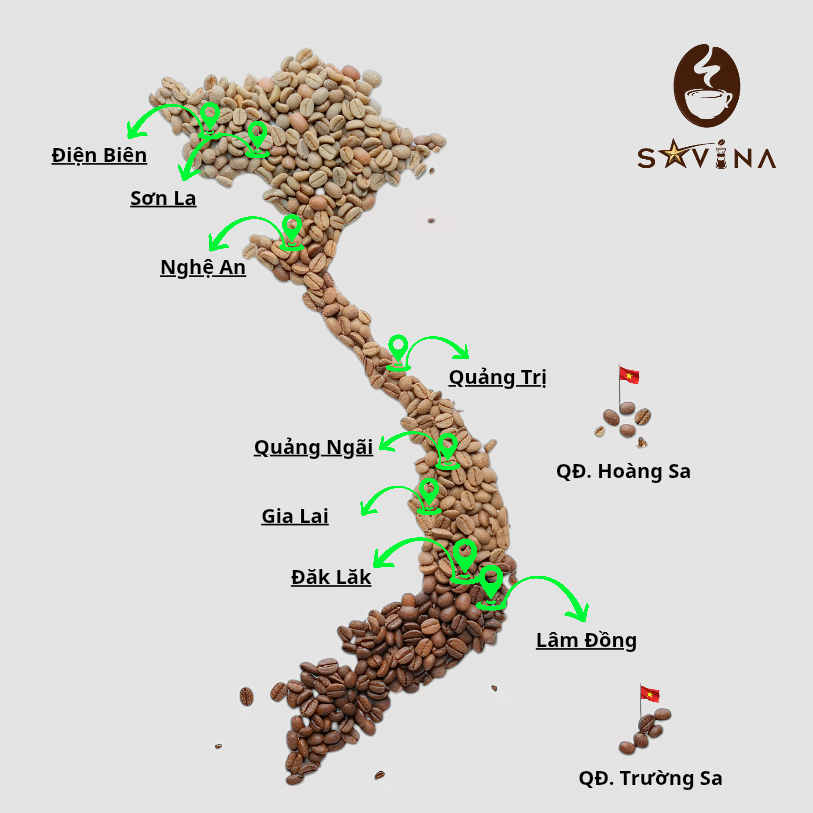 Bản đồ vùng nguyên liệu cà phê Việt Nam của SAVINA, gồm Điện Biên, Sơn La, Nghệ An, Quảng Trị, Quảng Ngãi, Gia Lai, Đắk Lắk, Lâm Đồng, Hoàng Sa và Trường Sa