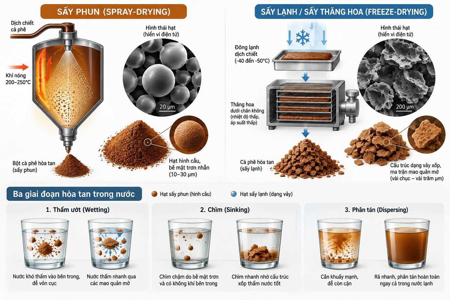 Hai phương pháp sấy công nghiệp phổ biến là sấy phun (spray-drying) và sấy thăng hoa (freeze-drying).