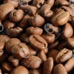 CÀ PHÊ PHA MÁY SAVINA S1