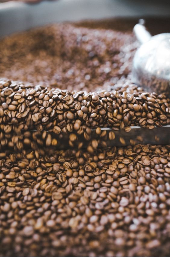 ca-phe-nguyen-chat-và-loi-ich-cho-suc-khoe